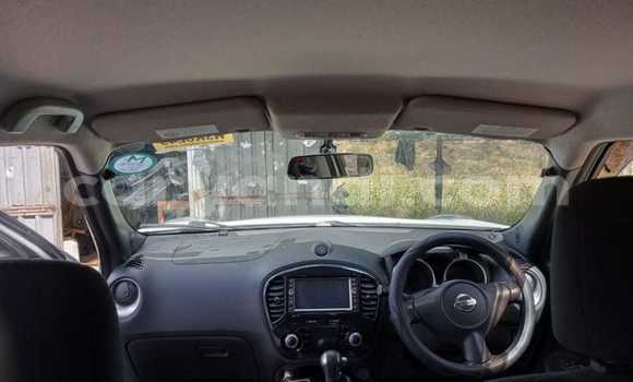 Buy Import Nissan Juke White Car in Ndola in Zambia Buy Import Nissan Juke White Car in Ndola in Zambia