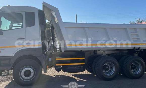 Tenga Tsaru DAF CF Chena Rori in Chilanga in Lusaka Tenga Tsaru DAF CF Chena Rori in Chilanga in Lusaka