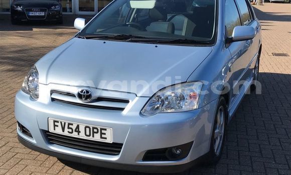 Tenga Tsaru Toyota Runx Sirivha Mota in Isoka in Northern Tenga Tsaru Toyota Runx Sirivha Mota in Isoka in Northern