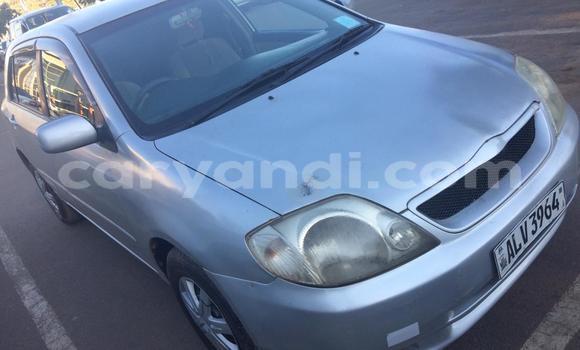 Buy Used Toyota Runx Silver Car in Lusaka in Zambia Buy Used Toyota Runx Silver Car in Lusaka in Zambia