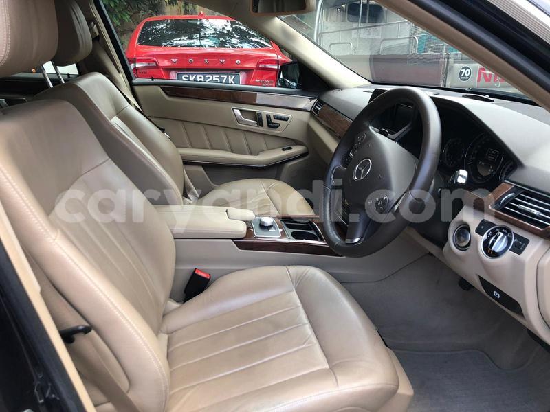 Big with watermark whatsapp image 2019 02 28 at 3.32.02 pm 1 