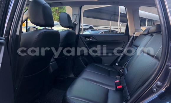 Tenga Tsaru Subaru Forester Zvimwe Mota in Lusaka in Zambia Tenga Tsaru Subaru Forester Zvimwe Mota in Lusaka in Zambia