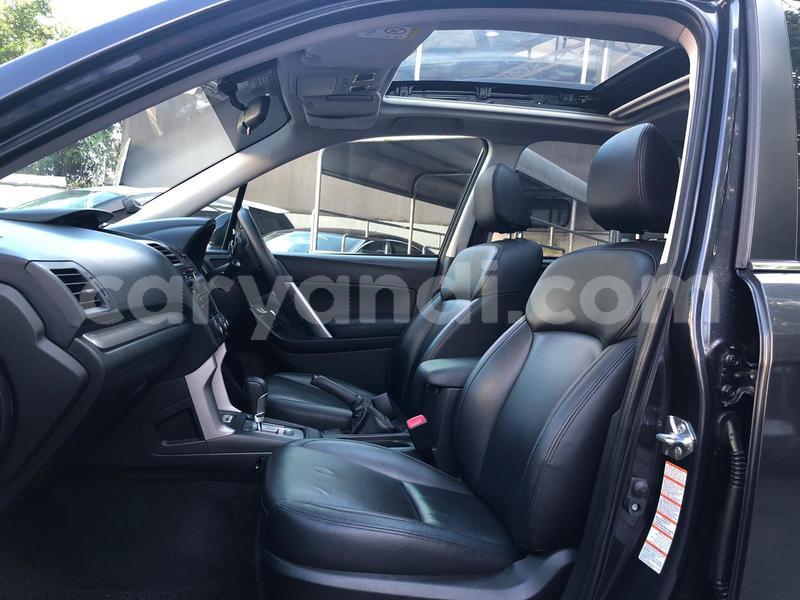 Big with watermark whatsapp image 2019 02 22 at 9.26.26 pm 3 