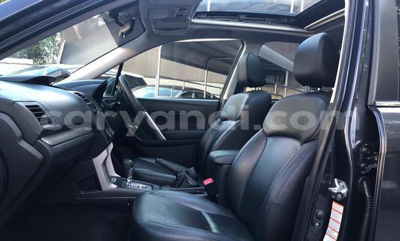 Tenga Tsaru Subaru Forester Zvimwe Mota in Lusaka in Zambia Tenga Tsaru Subaru Forester Zvimwe Mota in Lusaka in Zambia