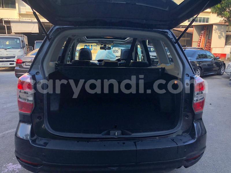 Big with watermark whatsapp image 2019 02 22 at 9.26.29 pm 1 