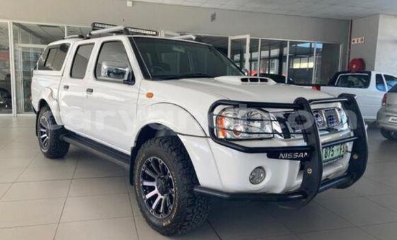 Buy Used Nissan Hardbody White Car in Livingstone in Zambia