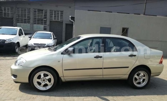 Buy Used Toyota Corolla Silver Car in Livingstone in Zambia