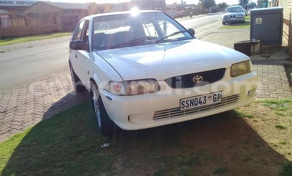 Tenga Tsaru Toyota Tacoma Chena Mota in Livingstone in Zambia Tenga Tsaru Toyota Tacoma Chena Mota in Livingstone in Zambia