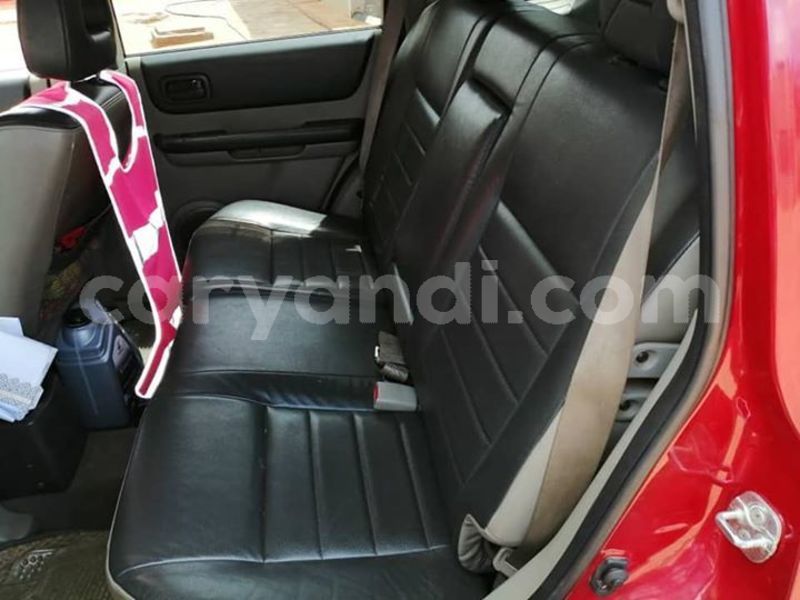 Big with watermark 53160294 387446612068480 1797324825602031616 n