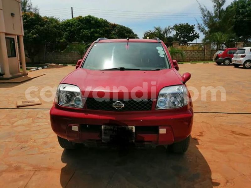 Big with watermark 53333226 387446572068484 1514063206920749056 n