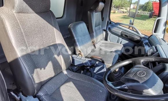 Buy Used Hino Ranger White Truck in Chilanga in Lusaka Buy Used Hino Ranger White Truck in Chilanga in Lusaka