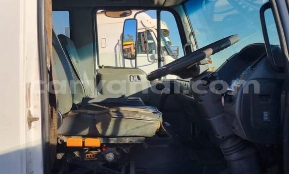 Buy Used Hino Ranger White Truck in Chilanga in Lusaka Buy Used Hino Ranger White Truck in Chilanga in Lusaka