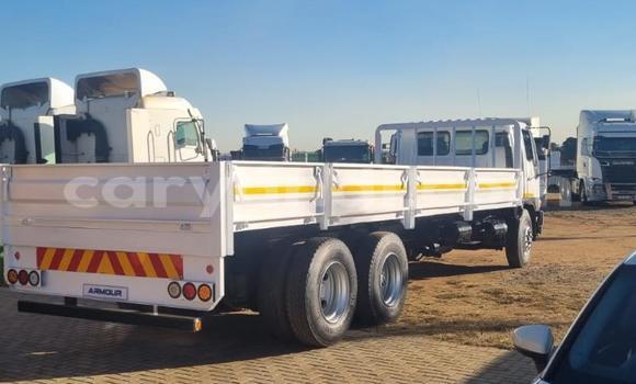Buy Used Hino Ranger White Truck in Chilanga in Lusaka