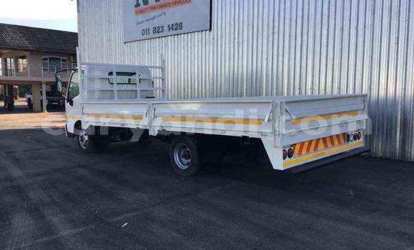 Buy Used Hino Ranger White Truck in Chilanga in Lusaka