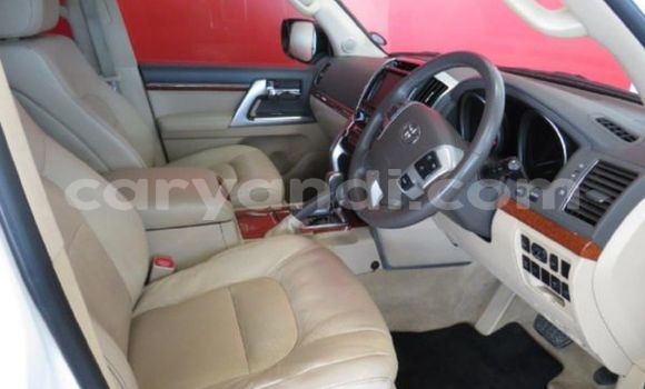 Tenga Tsaru Toyota Land Cruiser Chena Mota in Livingstone in Zambia Tenga Tsaru Toyota Land Cruiser Chena Mota in Livingstone in Zambia