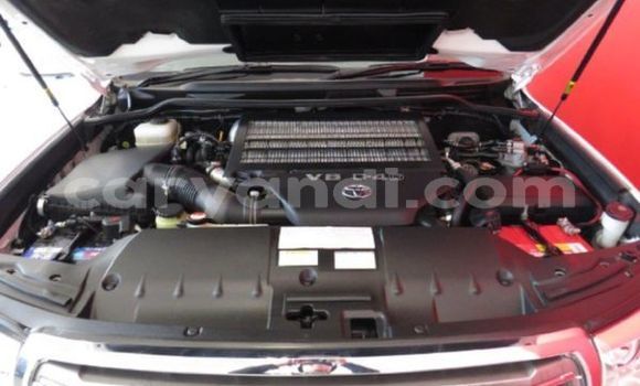 Tenga Tsaru Toyota Land Cruiser Chena Mota in Livingstone in Zambia Tenga Tsaru Toyota Land Cruiser Chena Mota in Livingstone in Zambia