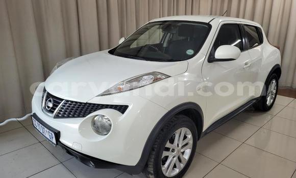 Tenga Tsaru Nissan Juke Chena Mota in Livingstone in Zambia