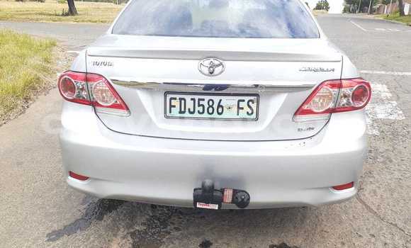 Tenga Tsaru Toyota Corolla Sirivha Mota in Lusaka in Zambia Tenga Tsaru Toyota Corolla Sirivha Mota in Lusaka in Zambia