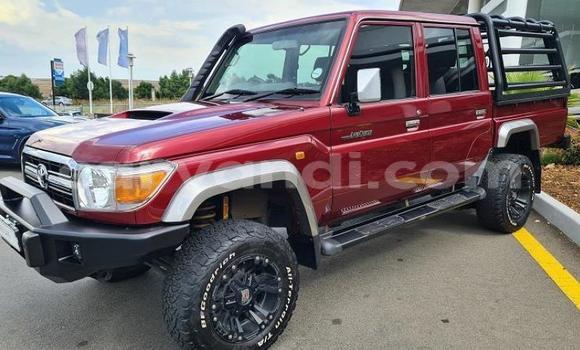 Buy Used Toyota Land Cruiser Red Car in Livingstone in Zambia Buy Used Toyota Land Cruiser Red Car in Livingstone in Zambia