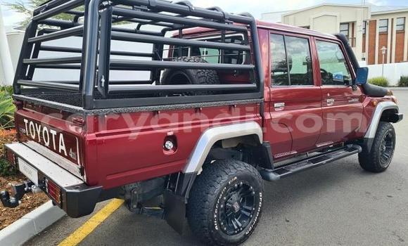 Buy Used Toyota Land Cruiser Red Car in Livingstone in Zambia Buy Used Toyota Land Cruiser Red Car in Livingstone in Zambia
