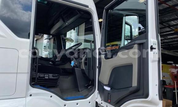 Acheter Neuf Utilitaire Man Silent Blanc à Chingola, Zambie Acheter Neuf Utilitaire Man Silent Blanc à Chingola, Zambie