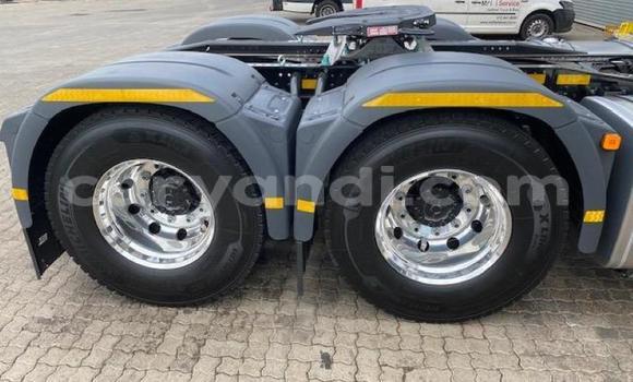 Acheter Neuf Utilitaire Man Silent Blanc à Chingola, Zambie Acheter Neuf Utilitaire Man Silent Blanc à Chingola, Zambie