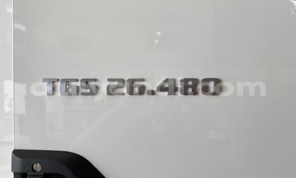 Acheter Neuf Utilitaire Man Silent Blanc à Chingola, Zambie Acheter Neuf Utilitaire Man Silent Blanc à Chingola, Zambie