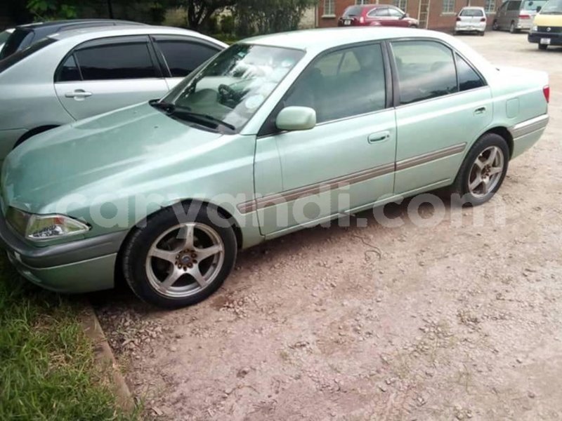 Big with watermark 53528475 1196635703819438 6682326108727148544 o