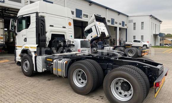 Acheter Occasion Utilitaire Man TGX Blanc à Livingstone, Zambie Acheter Occasion Utilitaire Man TGX Blanc à Livingstone, Zambie