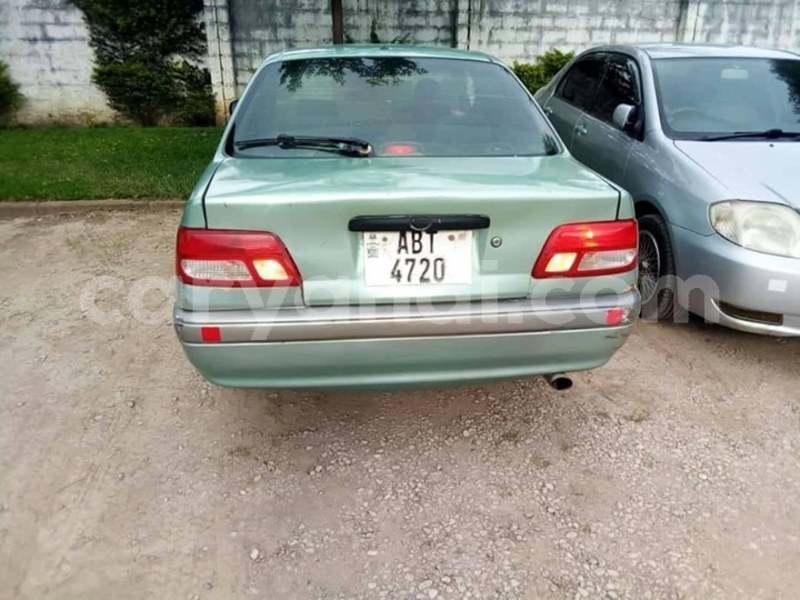 Big with watermark 53349944 1196635757152766 944794927110291456 o