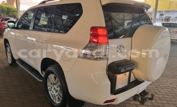 Acheter Occasion Voiture Toyota Land Cruiser Prado Blanc à Livingstone, Zambie Acheter Occasion Voiture Toyota Land Cruiser Prado Blanc à Livingstone, Zambie