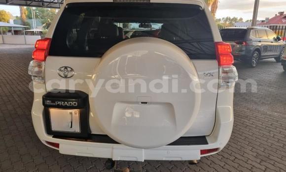 Acheter Occasion Voiture Toyota Land Cruiser Prado Blanc à Livingstone, Zambie Acheter Occasion Voiture Toyota Land Cruiser Prado Blanc à Livingstone, Zambie