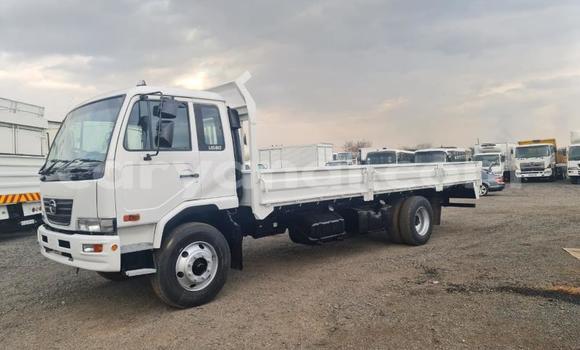 Buy Used Nissan UD White Truck in Lusaka in Zambia