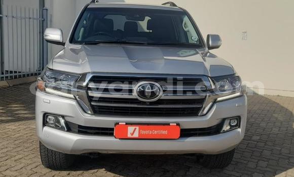 Nunua Ilio tumika Toyota Land Cruiser Prado Fedha Gari ndani ya Livingstone nchini Zambia Nunua Ilio tumika Toyota Land Cruiser Prado Fedha Gari ndani ya Livingstone nchini Zambia