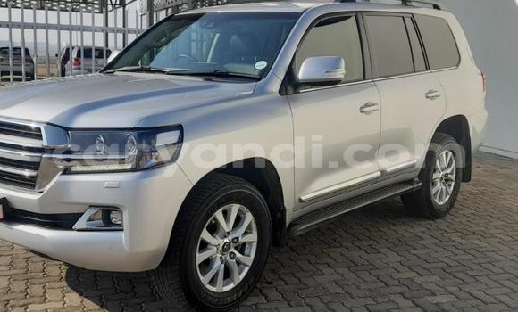 Nunua Ilio tumika Toyota Land Cruiser Prado Fedha Gari ndani ya Livingstone nchini Zambia Nunua Ilio tumika Toyota Land Cruiser Prado Fedha Gari ndani ya Livingstone nchini Zambia