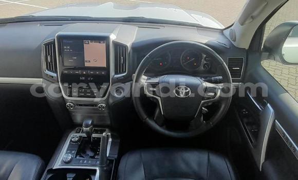Nunua Ilio tumika Toyota Land Cruiser Prado Fedha Gari ndani ya Livingstone nchini Zambia Nunua Ilio tumika Toyota Land Cruiser Prado Fedha Gari ndani ya Livingstone nchini Zambia