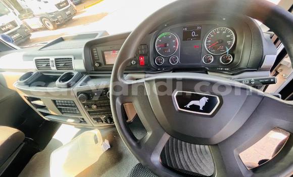 Acheter Occasion Utilitaire Man TGX Blanc à Lusaka, Zambie Acheter Occasion Utilitaire Man TGX Blanc à Lusaka, Zambie