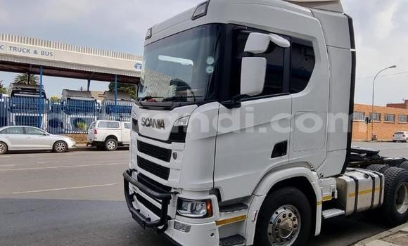 Buy Used Scania R420 White Truck in Chingola in Zambia