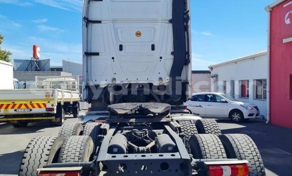 Acheter Occasion Utilitaire Mercedes–Benz 2644 Rouge à Livingstone, Zambie Acheter Occasion Utilitaire Mercedes–Benz 2644 Rouge à Livingstone, Zambie