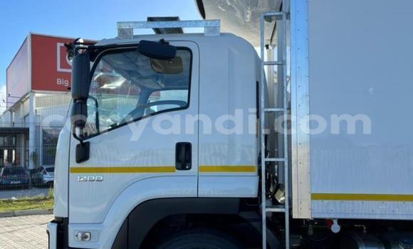 Acheter Neuf Utilitaire Isuzu FTR 850 Blanc à Livingstone, Zambie Acheter Neuf Utilitaire Isuzu FTR 850 Blanc à Livingstone, Zambie