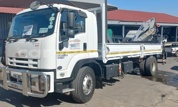 Acheter Occasion Utilitaire Isuzu FTR 850 Blanc à Livingstone, Zambie