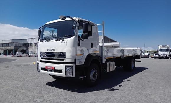 Buy Used Isuzu FTR 850 White Truck in Chingola in Zambia