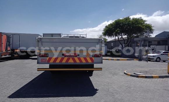 Acheter Occasion Utilitaire Isuzu FTR 850 Blanc à Chingola, Zambie Acheter Occasion Utilitaire Isuzu FTR 850 Blanc à Chingola, Zambie