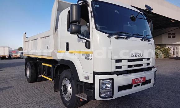 Buy Used Isuzu FTR 850 White Truck in Chingola in Zambia