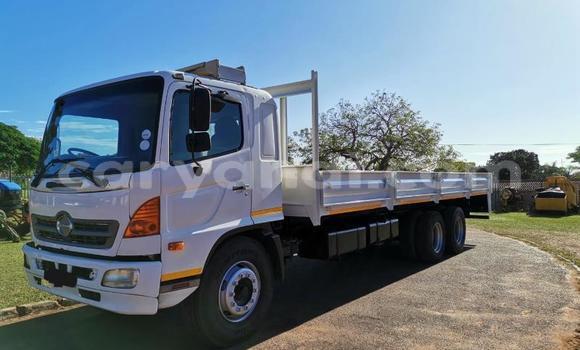 Buy Used Hino 300 Series White Truck in Livingstone in Zambia