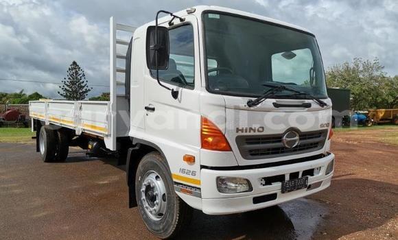 Buy Used Hino 300 Series White Truck in Kitwe in Zambia