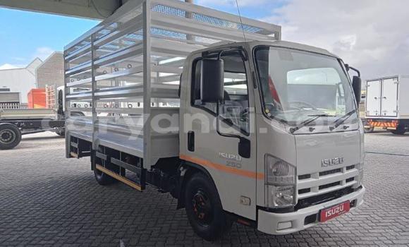 Acheter Occasion Utilitaire Isuzu FTR 850 Blanc à Lusaka, Zambie