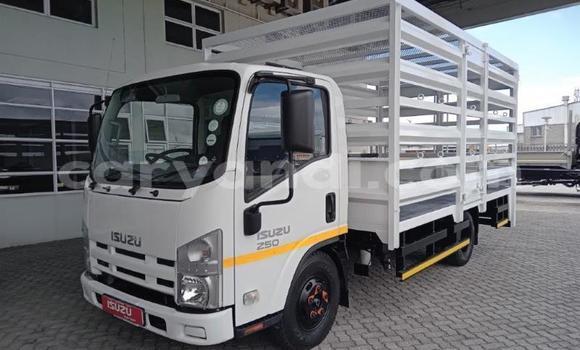 Acheter Occasion Utilitaire Isuzu FTR 850 Blanc à Lusaka, Zambie Acheter Occasion Utilitaire Isuzu FTR 850 Blanc à Lusaka, Zambie