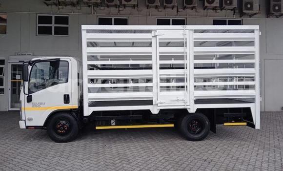 Acheter Occasion Utilitaire Isuzu FTR 850 Blanc à Lusaka, Zambie Acheter Occasion Utilitaire Isuzu FTR 850 Blanc à Lusaka, Zambie