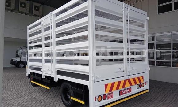 Acheter Occasion Utilitaire Isuzu FTR 850 Blanc à Lusaka, Zambie Acheter Occasion Utilitaire Isuzu FTR 850 Blanc à Lusaka, Zambie
